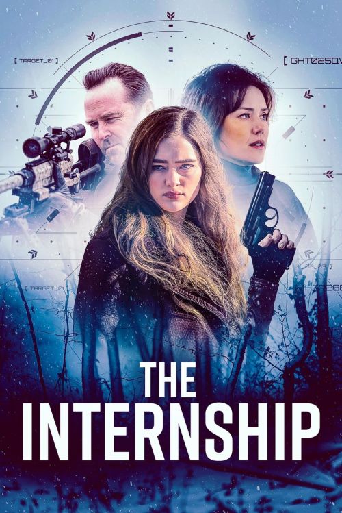 THE INTERNSHIP